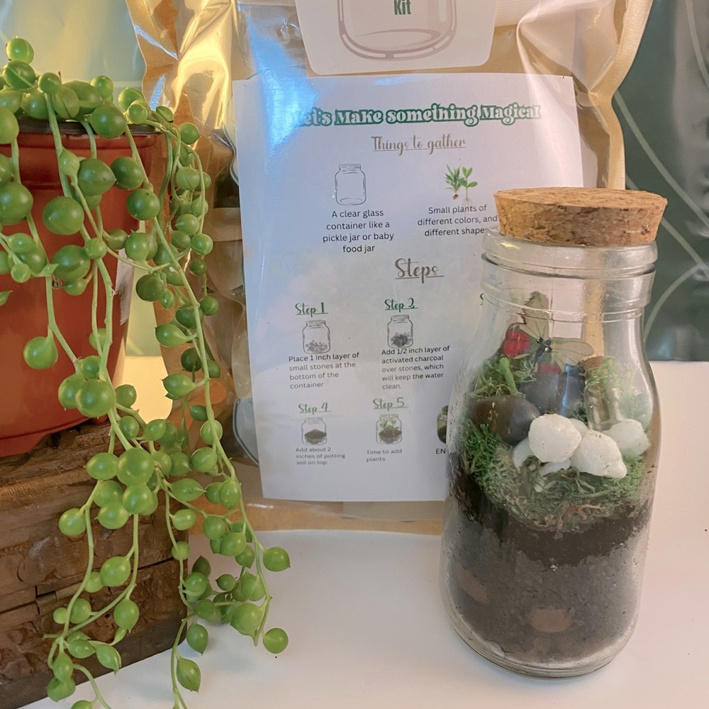 Terrarium kit, everything you need to make your own. Fun activity.